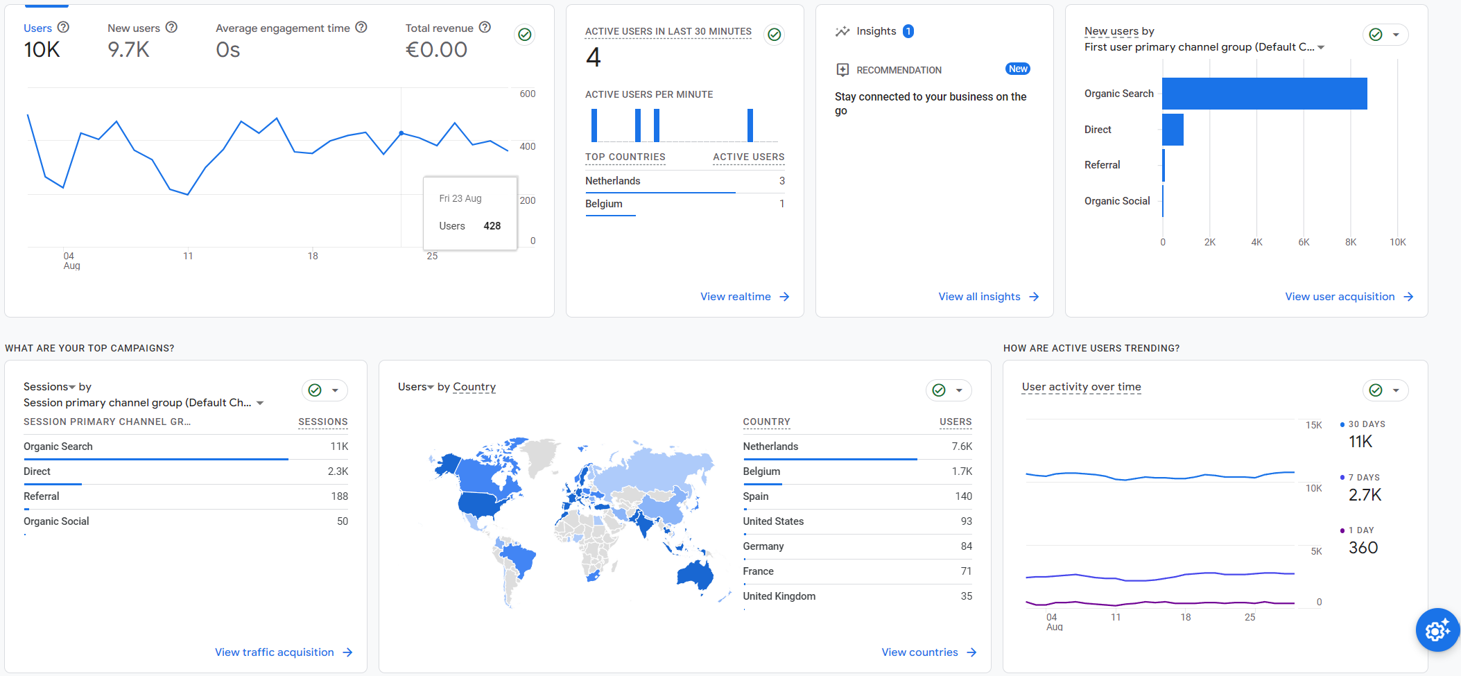 Google Analytics dashboard